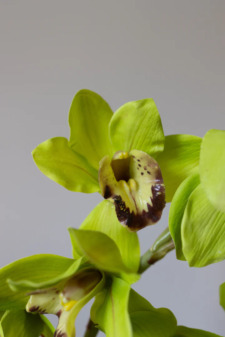 Artificial Lifelike Cymbidium Green