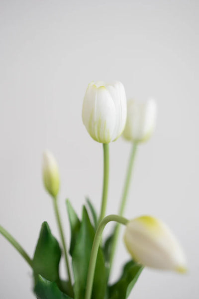 Artificial Tulip Bouquet - White